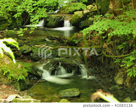 埼玉縣唯一的“日本100瀑布”Marugami瀑布山流1 41083116