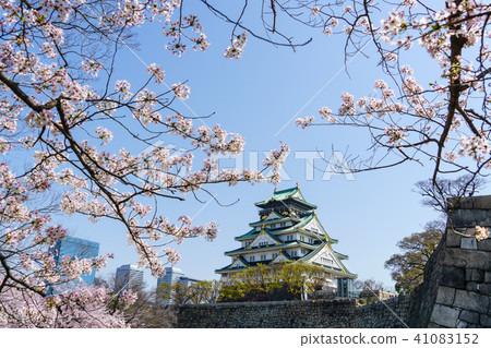 Cherry blossoms in Osaka 41083152