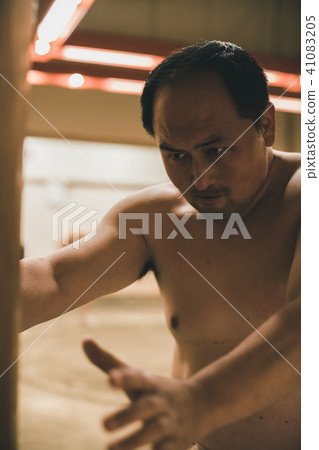sumo, sumo wrestling, training 41083205
