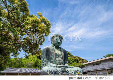 The Great Buddha of Kamakura Kotokudan 41084890