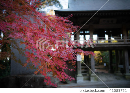 Autumn leaves at Monjusenji Temple Autumn leaves at Monjusenji Temple 41085751