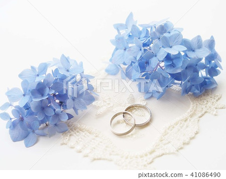 Hydrangea and wedding ring 41086490