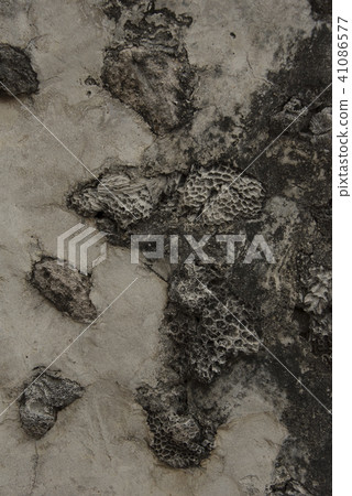 澎湖古老建築 41086577