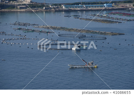 圓形凸起的柏木島筏 41086655