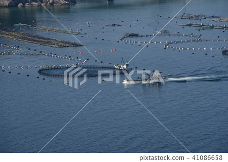 朝向金槍魚種田木筏的一個漁船 41086658