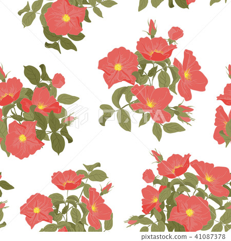 Vector imprints blooming wild rose seamless pattern. Abstract digital hand drawn picture. Mixed 41087378