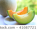 melon 41087721