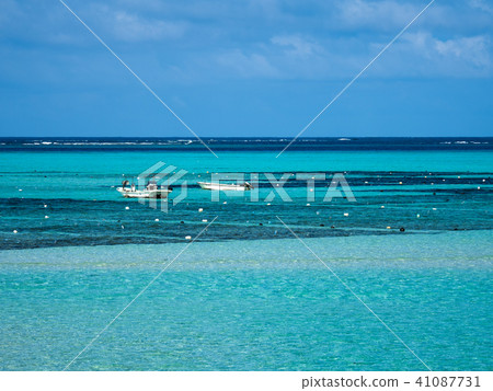 熱帶海 熱帶海 41087731