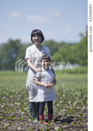Parent and child working in field work Parent and child working in field work 41088083