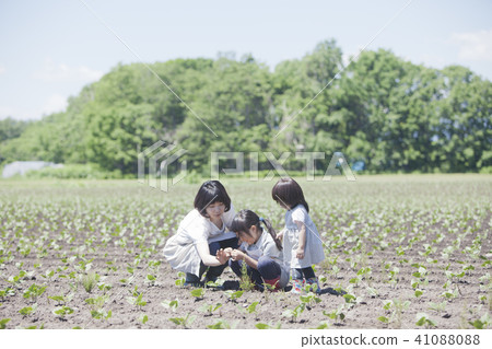 父母和孩子在野外工作 父母和孩子在野外工作 41088088