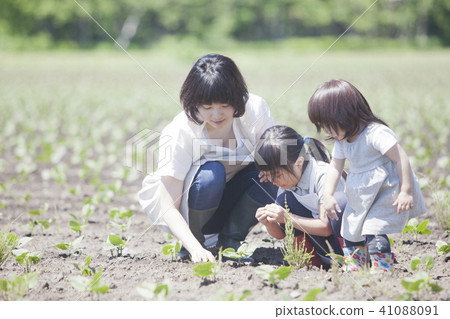 Parent and child working in field work Parent and child working in field work 41088091