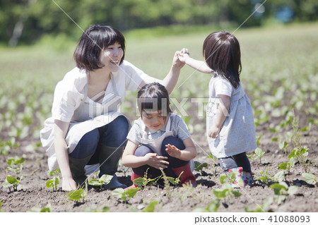 Parent and child working in field work 41088093