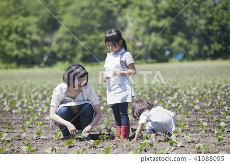 父母和孩子在野外工作 41088095