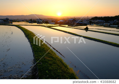 田田（奈良市）的日落美景 41088682