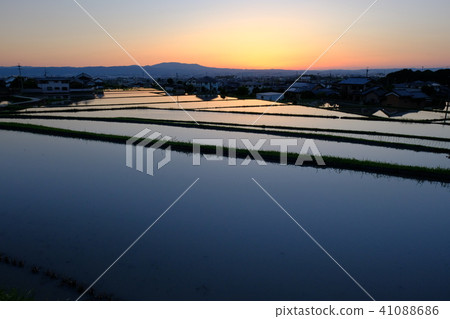 Sunset view of Tanada (Nara City) 41088686