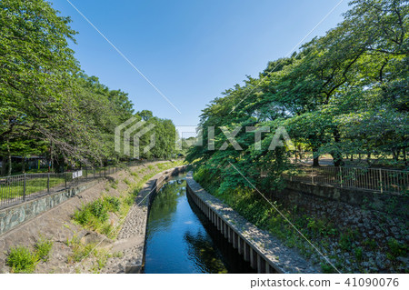 新鮮的綠色Zenfukuji河 41090076