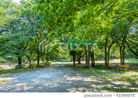 Zenfukuji河綠地的風景 41090078