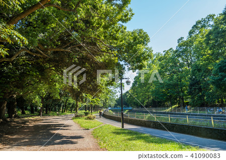 Zenfukuji河綠地的風景 Zenfukuji河綠地的風景 41090083