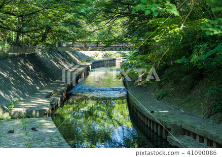 Landscape of the green deep Zenfukuji River Landscape of the green deep Zenfukuji River 41090086