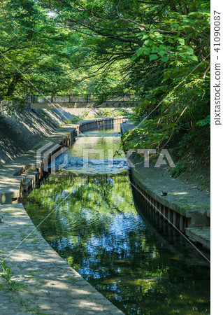 Landscape of the green deep Zenfukuji River Landscape of the green deep Zenfukuji River 41090087