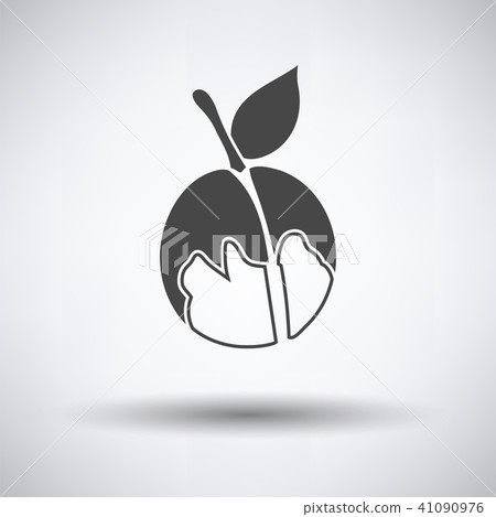 Icon of Peach Icon of Peach 41090976