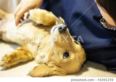 A young lady and an indoor dog lie side by side and fall asleep A young lady and an indoor dog lie side by side and fall asleep 41091259