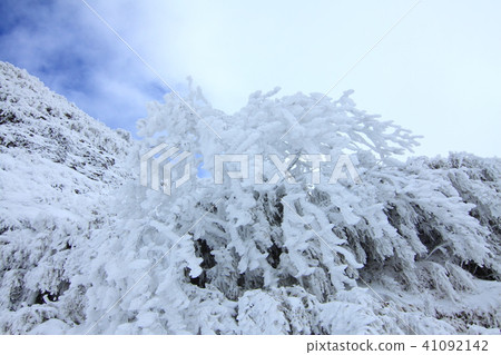 雪,雪景,合歡山 41092142