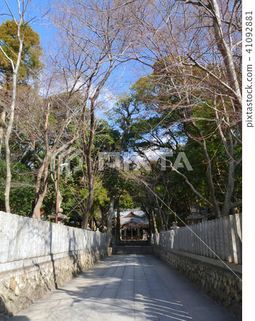 Hisashi Oshima Shrine with Bairin / Hyogo ken Higashi Nada Ward 41092881