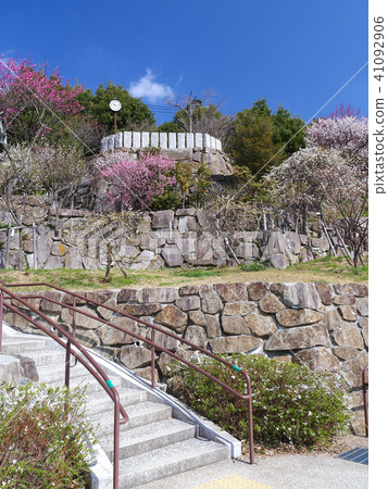 Okamoto Bairin Park /老梅花/兵庫縣神戶市本津町區本山町 41092906