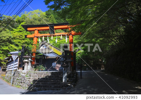 京都,佐賀鳥居燈籠和一之鳥牌(新綠色季節)/國家指定重要的傳統建築群保護區的市容 京都,佐賀鳥居燈籠和一之鳥牌(新綠色季節)/國家指定重要的傳統建築群保護區的市容 41092993