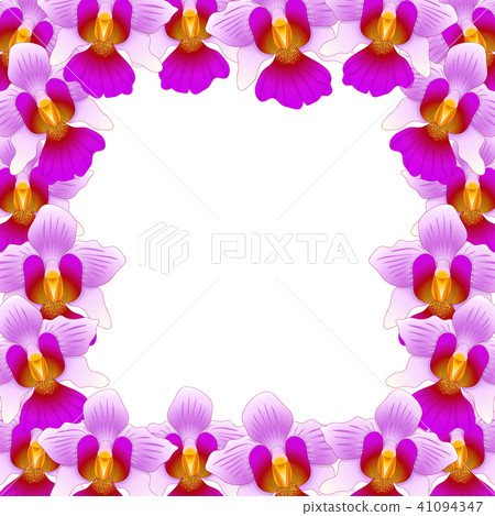 Vanda Miss Joaquim Orchid Border Vanda Miss Joaquim Orchid Border 41094347