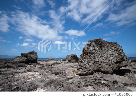 People 's followers People 's followers 41095003