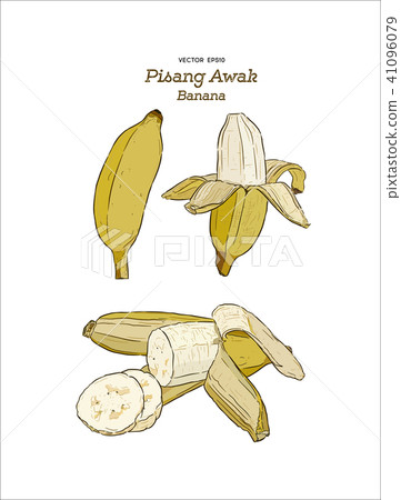 Pisang Awak banana .Thai call Kluai Namwa. 41096079