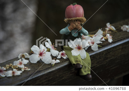 苗栗獅頭山桐花 41096788