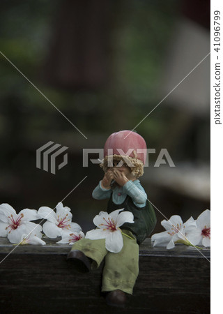 苗栗獅頭山桐花 苗栗獅頭山桐花 41096799