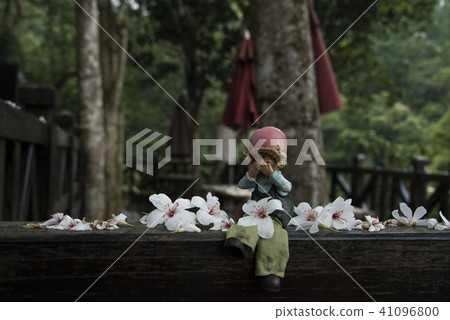 苗栗獅頭山桐花 苗栗獅頭山桐花 41096800