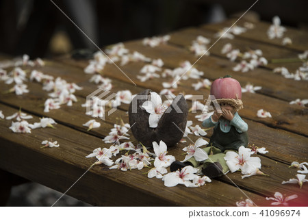 苗栗獅頭山桐花落花 苗栗獅頭山桐花落花 41096974