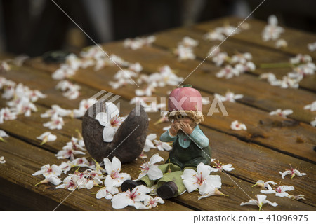 苗栗獅頭山桐花落花 41096975