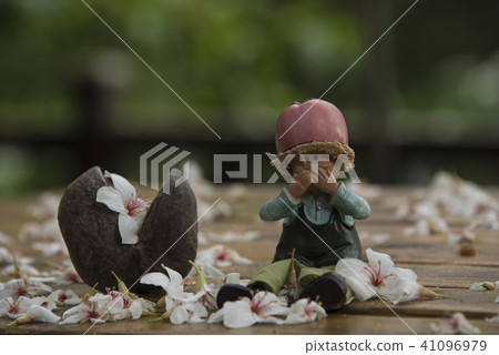 苗栗獅頭山桐花落花 41096979