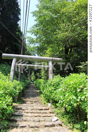 Ohira shrine shrine in early summer Ohira shrine shrine in early summer 41097227