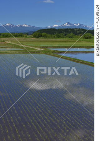 Spring Hakkoda mountains 41098824