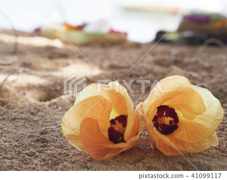[巴厘島旅行]芙蓉依up 41099117