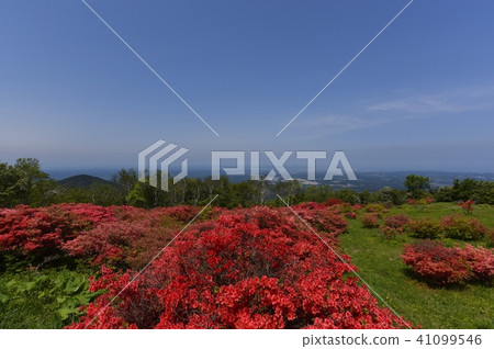 Uemachidake山的春天 41099546