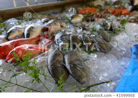 魚節 魚節 41099908