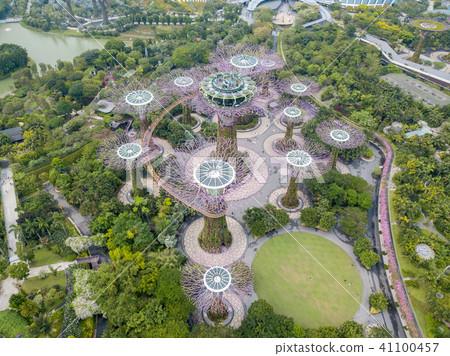 Aerial view of the botanical garden Aerial view of the botanical garden 41100457