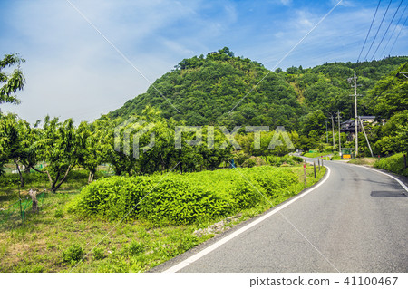 岐阜縣樹苗城堡 41100467
