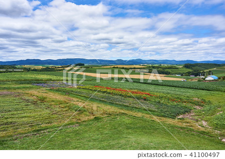 北海道美瑛山 北海道美瑛山 41100497