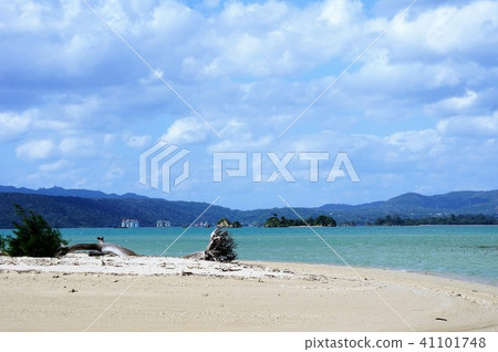海 海 41101748