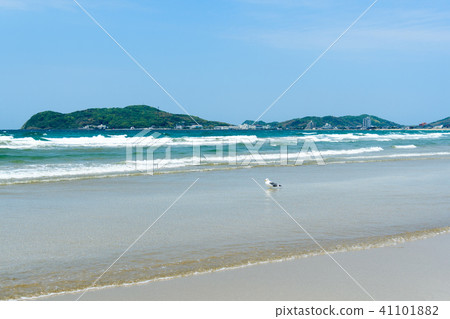 Fukuma coast [Fukuoka city Fukuoka prefecture] 41101882