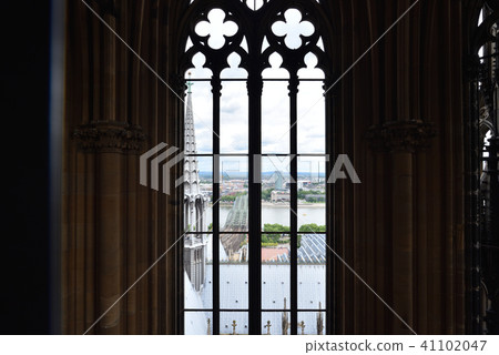 Cologne Cathedral 41102047
